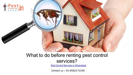 What to do before renting pest control services? Contact us : Pest Control Services in Ghaziabad.