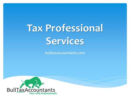 Tax Professional Services bulltaxaccountants.com.
