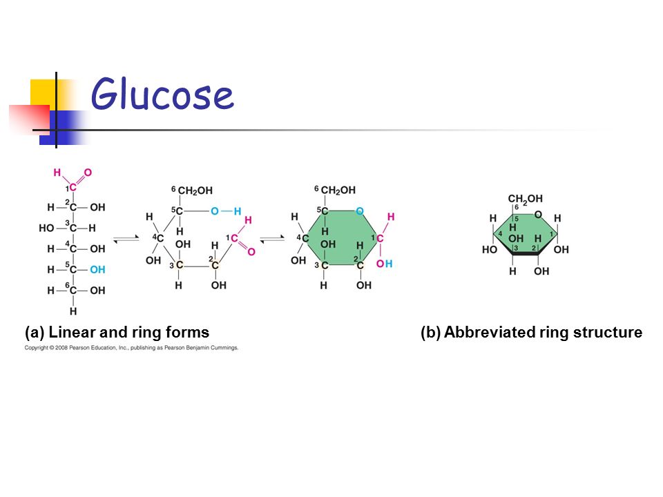 Glucose (a) Linear and ring forms(b) Abbreviated ring structure. - ppt  download