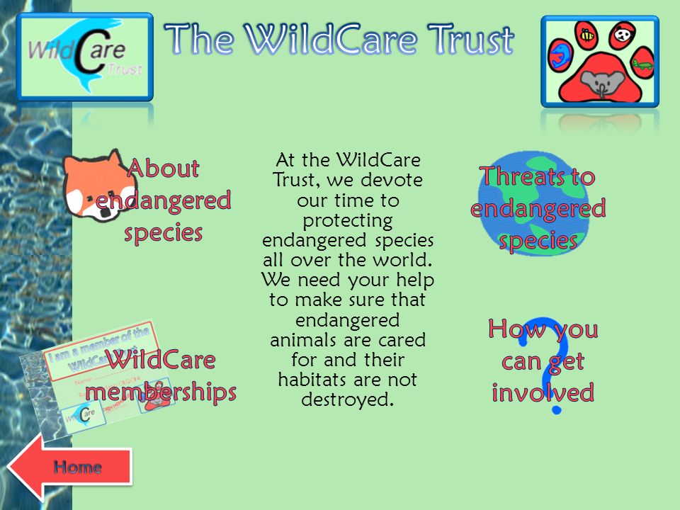 The WildCare Trust About endangered species - ppt download