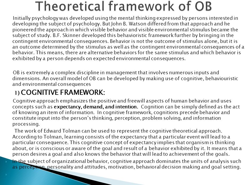 Positive Organizational Behavior: Strategies for Organisations - Theoretical Framework