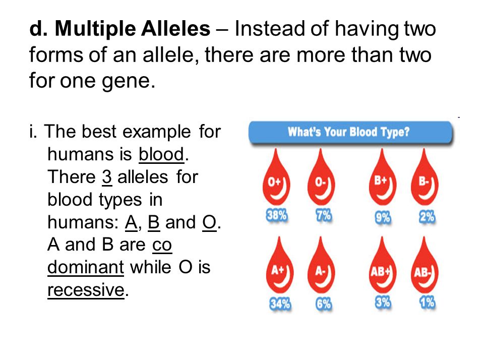what is the significance of multiple alleles