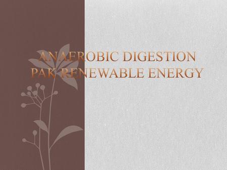 Anaerobic Digestion PAK RENEWABLE ENERGY