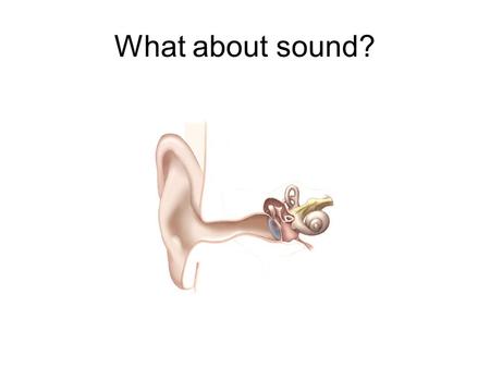What about sound?. Two Main Types of Microphones Dynamic & Condenser Microphones mimic the ear.