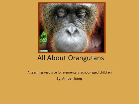 All About Orangutans A teaching resource for elementary school-aged children By: Amber Jones.