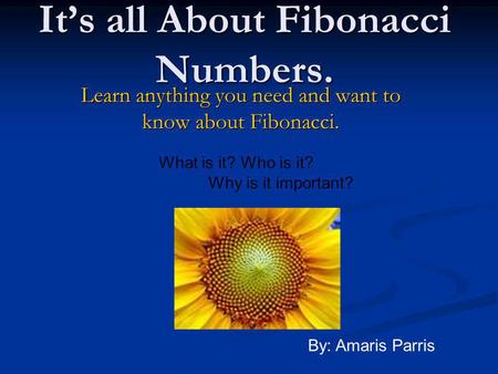 It’s all About Fibonacci Numbers.