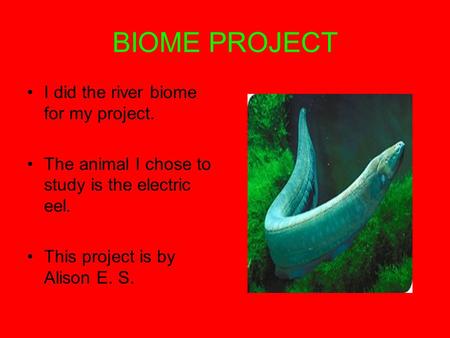 BIOME PROJECT I did the river biome for my project. The animal I chose to study is the electric eel. This project is by Alison E. S.