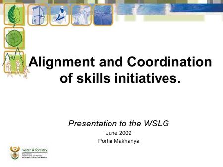 Alignment and Coordination of skills initiatives. Presentation to the WSLG June 2009 Portia Makhanya.