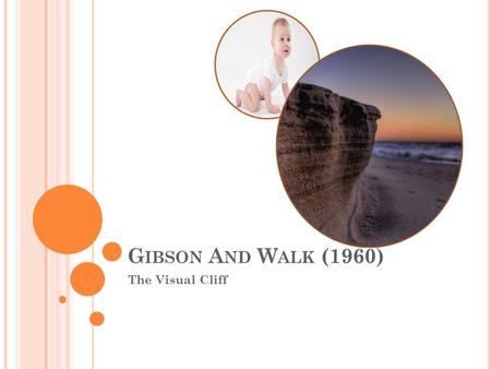 G IBSON A ND W ALK (1960) The Visual Cliff. C ONTEXT Nativist view- innate ability to perceive the world. Opposed to learning through experience. Lashley.