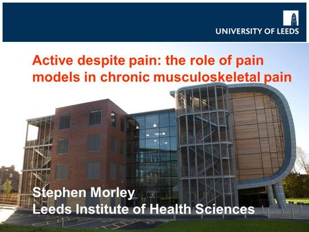 Active despite pain: the role of pain models in chronic musculoskeletal pain Stephen Morley Leeds Institute of Health Sciences.