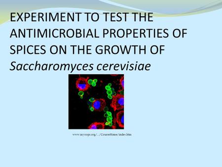 Www.myoops.org/.../CourseHome/index.htm EXPERIMENT TO TEST THE ANTIMICROBIAL PROPERTIES OF SPICES ON THE GROWTH OF Saccharomyces cerevisiae.