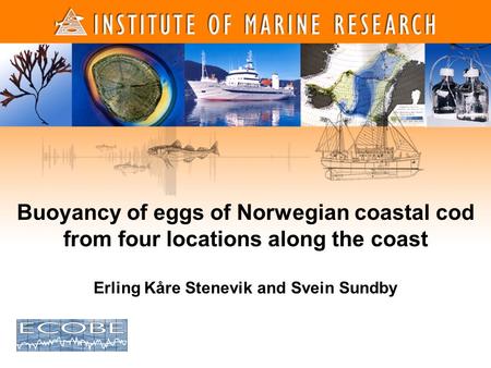 1 1 Buoyancy of eggs of Norwegian coastal cod from four locations along the coast Erling Kåre Stenevik and Svein Sundby.