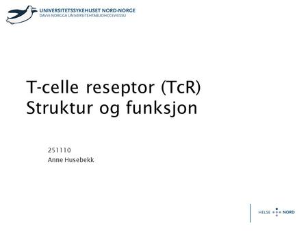 T-celle reseptor (TcR) Struktur og funksjon