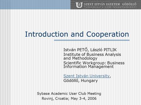 Introduction and Cooperation István PETŐ, László PITLIK Institute of Business Analysis and Methodology Scientific Workgroup: Business Information Management.