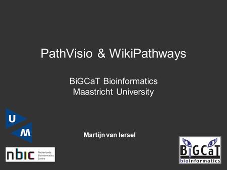 Martijn van Iersel PathVisio & WikiPathways BiGCaT Bioinformatics Maastricht University.