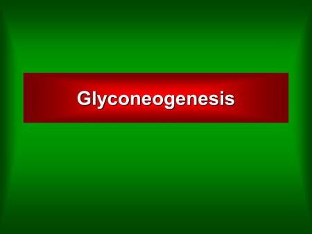 Glyconeogenesis.