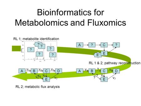 Bioinformatics for Metabolomics and Fluxomics E’ ? ? ? ? ? ? A?C? E ABCD E v1v1 v2v2 v3v3 v4v4 v5v5 v6v6 v7v7 ABCD E RL 1; metabolite identification RL.