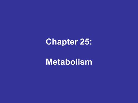 Chapter 25: Metabolism.