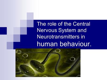 The Nervous System has 2 main parts – the Central Nervous System (CNS) and the Peripheral Nervous System. The CNS consists of the brain and the spinal.
