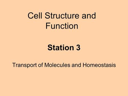 Transport of Molecules and Homeostasis