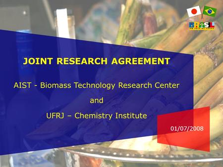 01/07/2008 JOINT RESEARCH AGREEMENT AIST - Biomass Technology Research Center and UFRJ – Chemistry Institute.