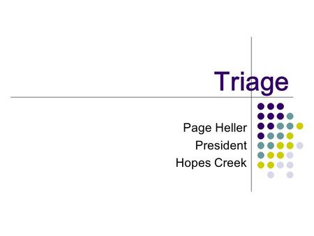 Triage Page Heller President Hopes Creek. HCC TechAssess Perform your evaluation and prepare something you can use as a communication tool at the same.