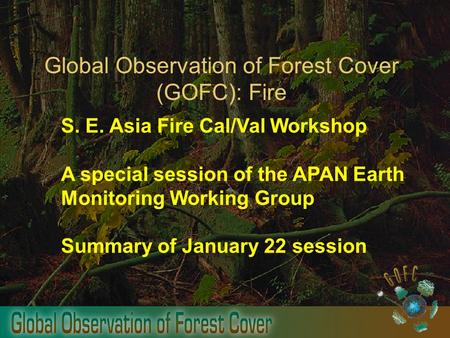 Global Observation of Forest Cover (GOFC): Fire S. E. Asia Fire Cal/Val Workshop A special session of the APAN Earth Monitoring Working Group Summary of.