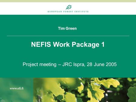 Tim Green NEFIS Work Package 1 Project meeting – JRC Ispra, 28 June 2005.