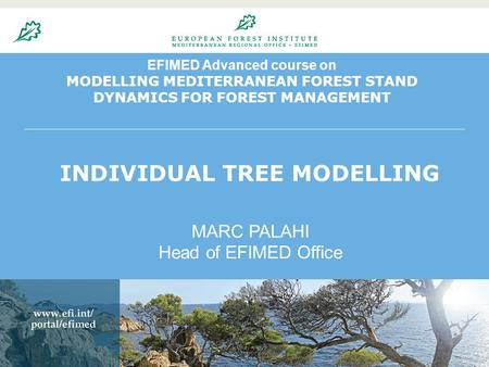 20.8.20041 EFIMED Advanced course on MODELLING MEDITERRANEAN FOREST STAND DYNAMICS FOR FOREST MANAGEMENT MARC PALAHI Head of EFIMED Office INDIVIDUAL TREE.