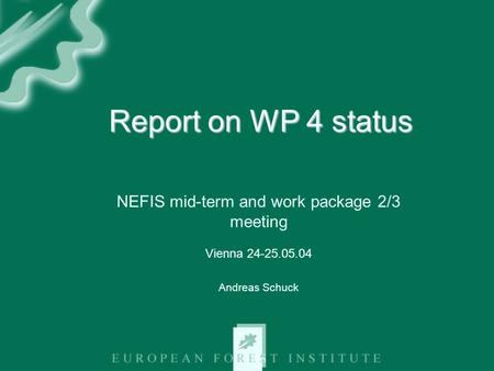Report on WP 4 status NEFIS mid-term and work package 2/3 meeting Vienna 24-25.05.04 Andreas Schuck.