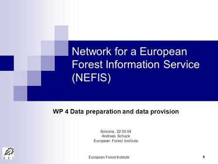 European Forest Institute 1 Network for a European Forest Information Service (NEFIS) WP 4 Data preparation and data provision Solsona, 22.03.04 Andreas.