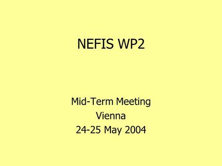 NEFIS WP2 Mid-Term Meeting Vienna 24-25 May 2004.