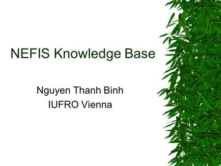 NEFIS Knowledge Base Nguyen Thanh Binh IUFRO Vienna.