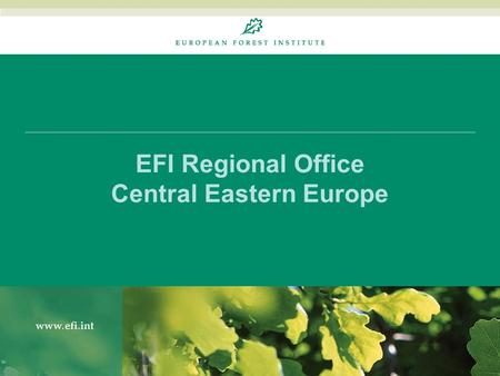 EFI Regional Office Central Eastern Europe. Work Programme 2009-2013 16 August 20142 Organisation and Work Areas Forest sector policy & economics incl.