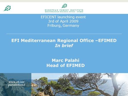 EFICENT launching event 3rd of April 2009 Friburg, Germany EFI Mediterranean Regional Office –EFIMED In brief Marc Palahi Head of EFIMED.
