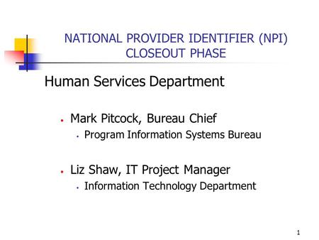 1 NATIONAL PROVIDER IDENTIFIER (NPI) CLOSEOUT PHASE Human Services Department Mark Pitcock, Bureau Chief Program Information Systems Bureau Liz Shaw, IT.