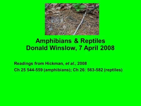 Amphibians & Reptiles Donald Winslow, 7 April 2008 Readings from Hickman, et al., 2008 Ch 25 544-559 (amphibians)‏; Ch 26: 563-582 (reptiles)‏