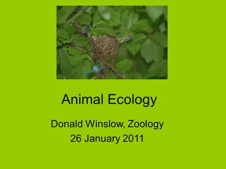 Donald Winslow, Zoology