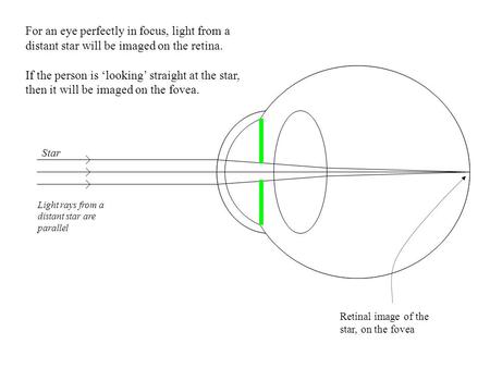 For an eye perfectly in focus, light from a distant star will be imaged on the retina. If the person is ‘looking’ straight at the star, then it will be.
