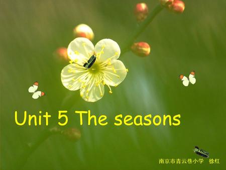 Unit 5 The seasons 南京市青云巷小学 徐红.