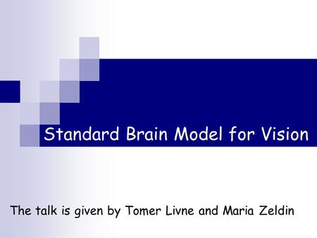 Standard Brain Model for Vision