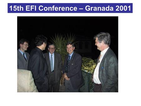 15th EFI Conference – Granada 2001.