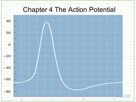 Chapter 4 The Action Potential