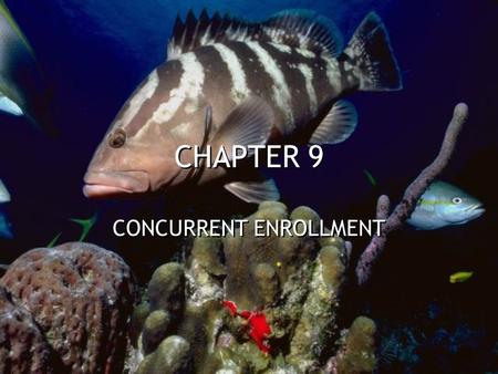 CHAPTER 9 CONCURRENT ENROLLMENT. ACIDS AND BASES WEAK ACIDS AND BASES ONLY A FEW IONS ARE FORMED DEFINITIONS –Arrhenius - Acid contains H + ions and Bases.
