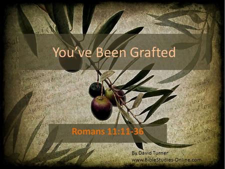 You’ve Been Grafted Romans 11:11-36 By David Turner