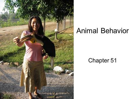 Behavioral Ecology Chapter 37. Nature vs. Nurture Behavior To what degree  do our genes (nature) and environmental influences (nurture) affect behavior?  - ppt download