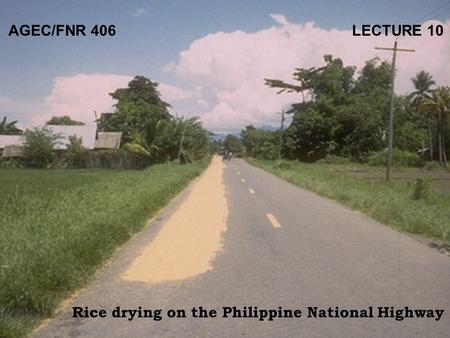 AGEC/FNR 406 LECTURE 10 Rice drying on the Philippine National Highway.