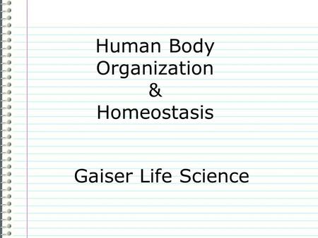 Human Body Organization & Homeostasis