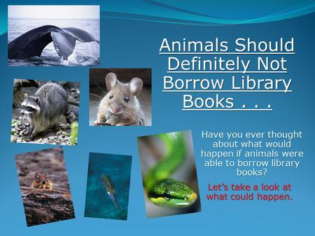 Have you ever thought about what would happen if animals were able to borrow library books? Let’s take a look at what could happen. Animals Should Definitely.