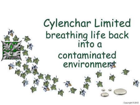 Copyright © 2013 Cylenchar Limited breathing life back into a contaminated environment.